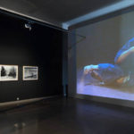 Moravská galerie v Brně , Kmeny 90, Vladimir 518 , architekt: 0,5 Studio , grafika: Belavenir Design Studio, šéfkurátor: Ondrej Chrobak , foto: Tomas Souček , 2017